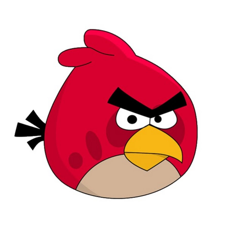 Angry birds сердитый. Энгри бердз злые птички. Angry Birds птицы. Энгри берс злая птичка. Птицы из Энгри бердз.