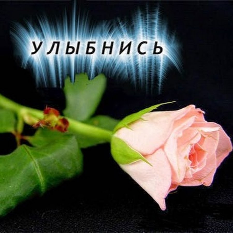 Улыбнись цветы