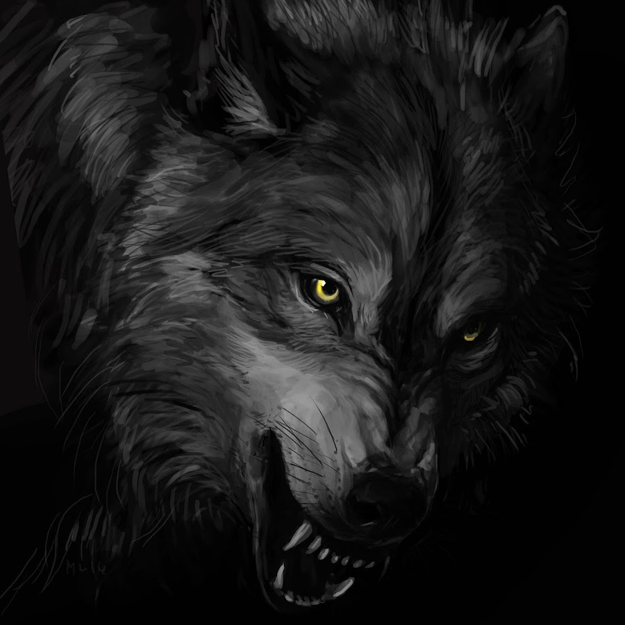 Волк на горе на аву арт
