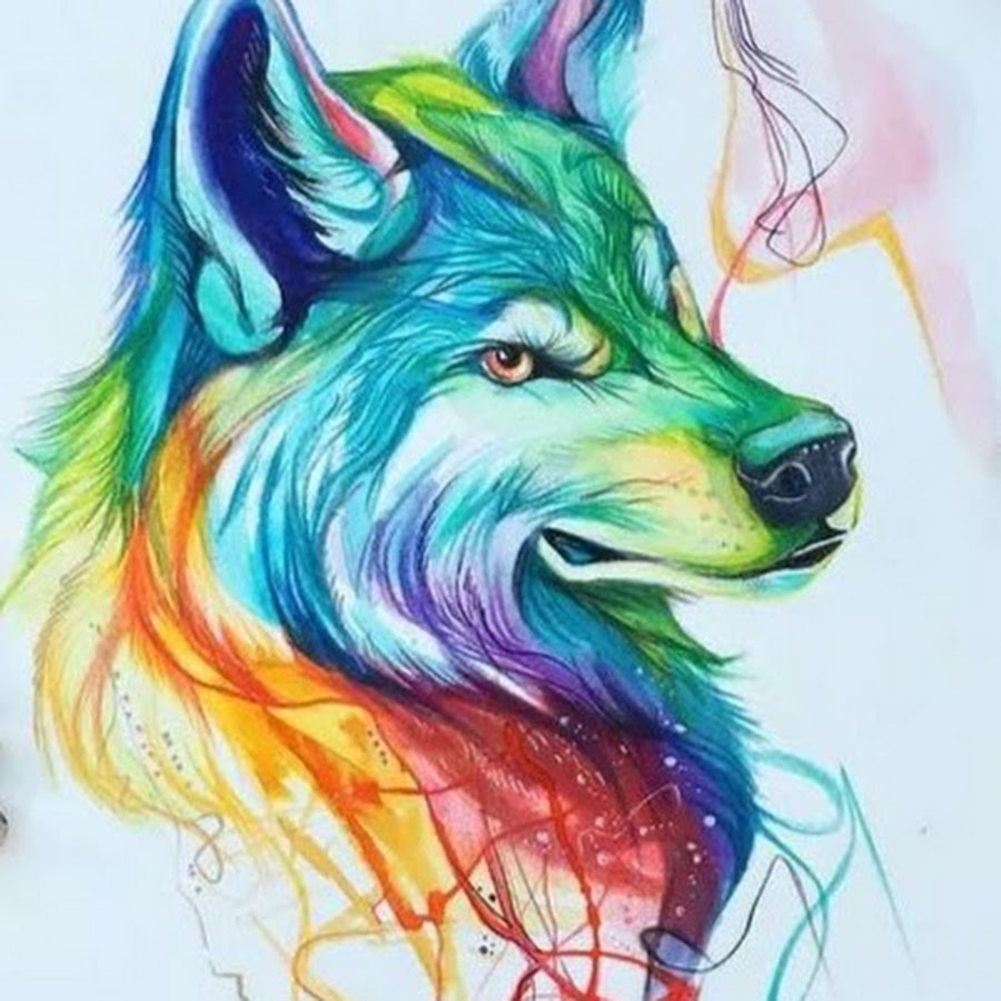 Разноцветный волк арт