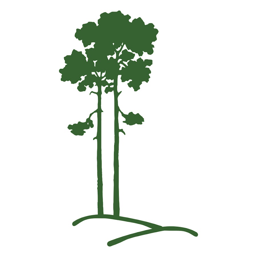 AGIKgqPcAMeJofU4EEp3_UCJpxCHPY3ad9DXpg3hIKx=s900ckc0x00ffffffnorj