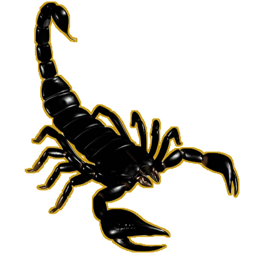 скорпион картинки нарисованные