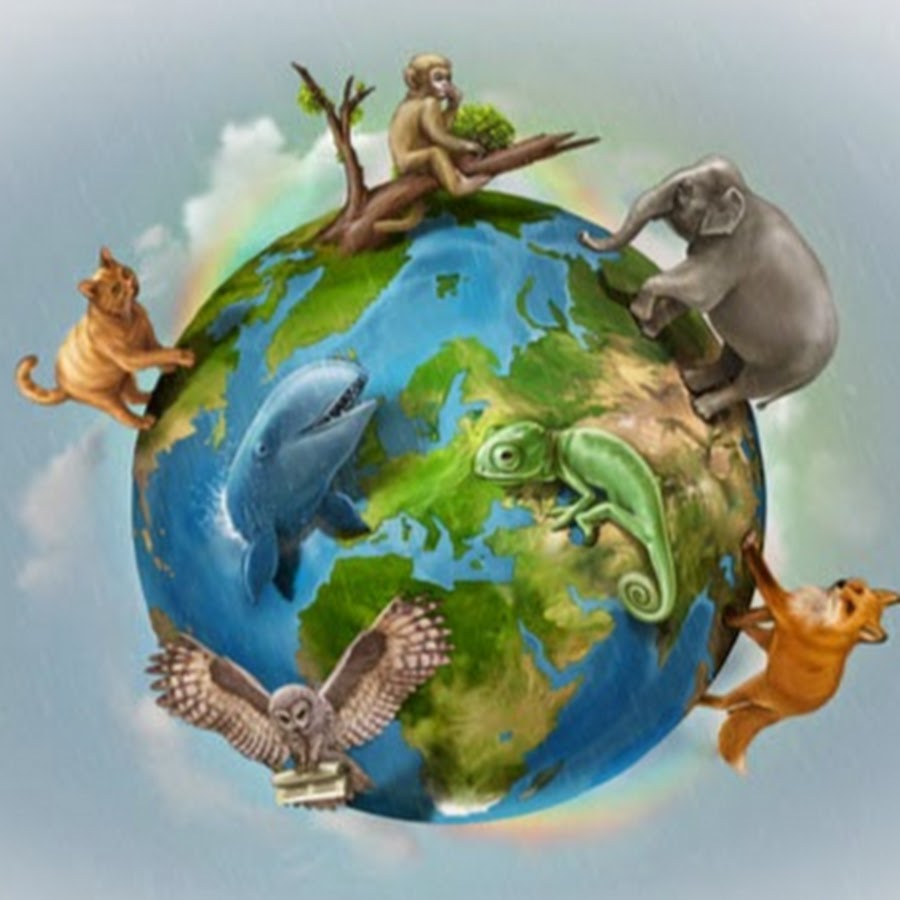 Земной шар с животными и растениями
