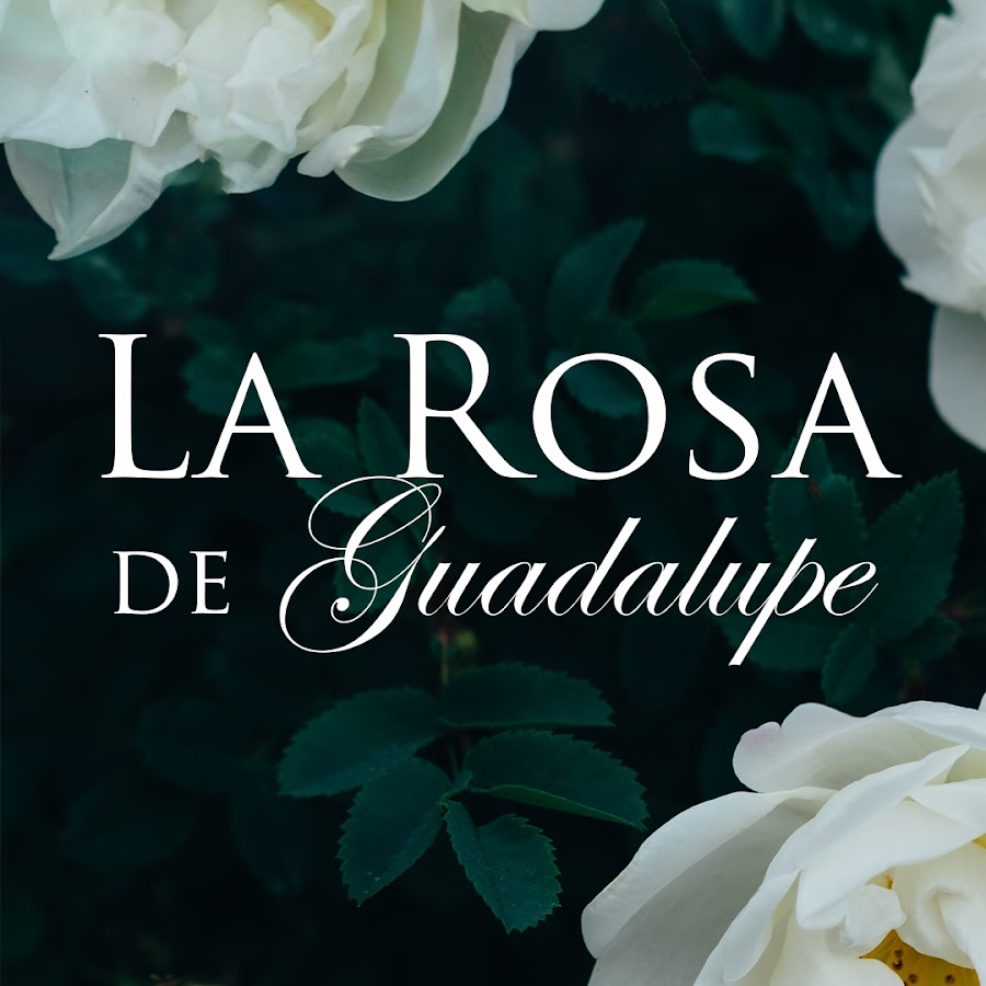 La Rosa de Guadalupe @LaRosaDeGuadalupeOf