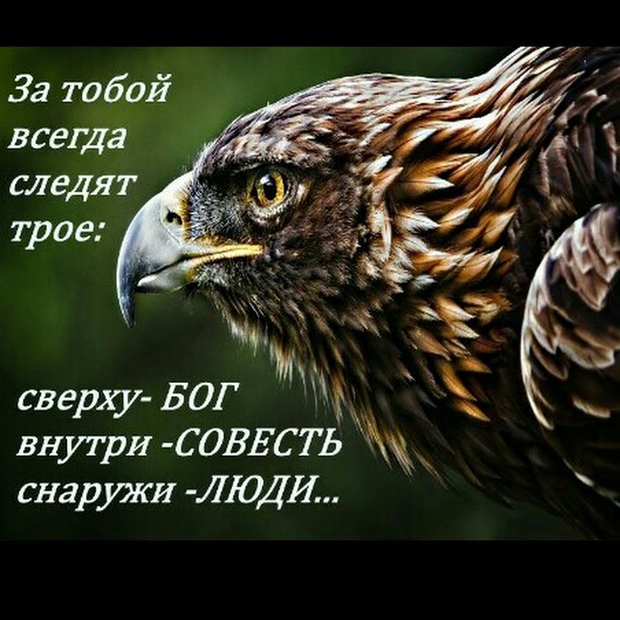 Следи богов. За тобой всегда следят трое сверху Бог внутри совесть снаружи люди. Бог сказал бойся слез. Бойся слез обиженного человека. Сверху Бог внутри совесть снаружи.