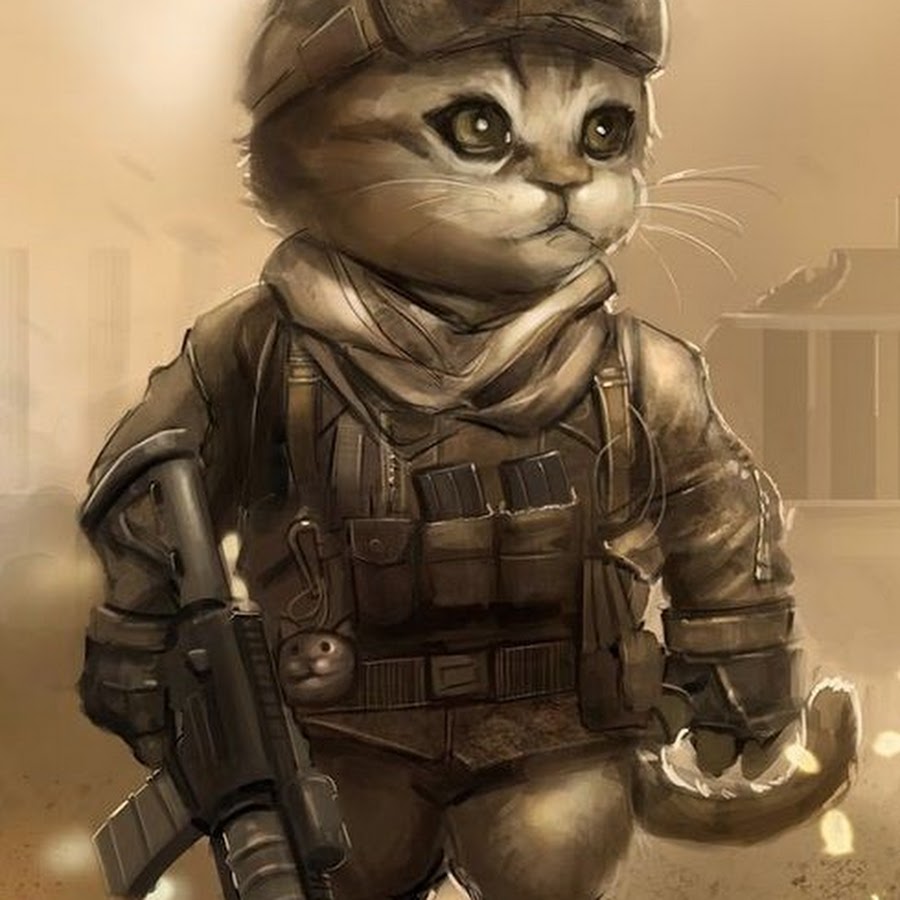 Кот солдат