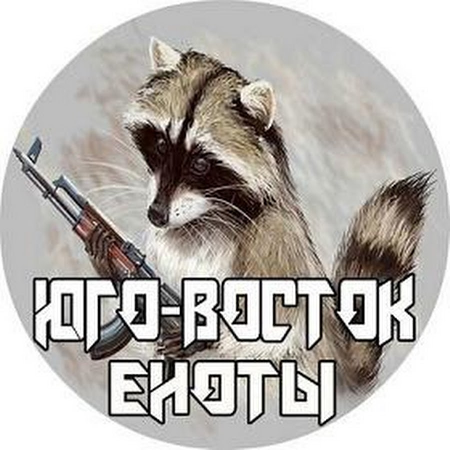 Боевой енот картинки