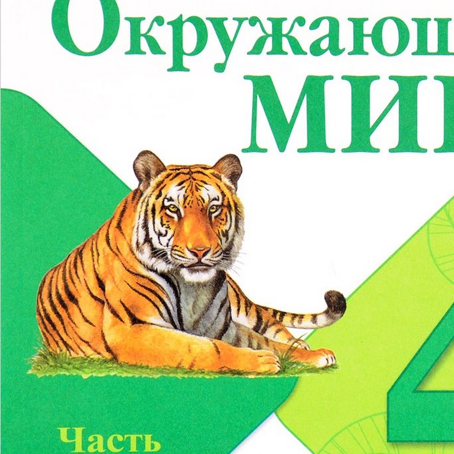 Умк гармония окружающий мир 2 класс. Ю. В 2-х частях плешаков а. Плешаков 4 класс окружающий мир рабочая тетрадь перспектива. Окружающий мир 1 4 классы.