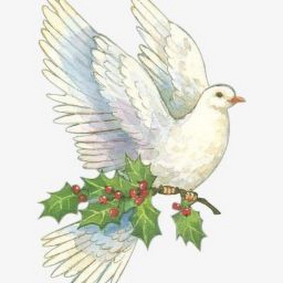 С Рождеством голубь
