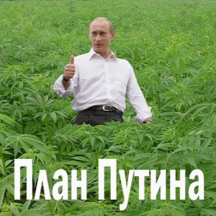 Все идет по плану путин фото