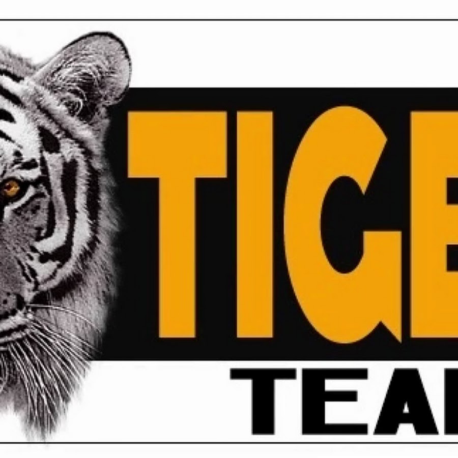 Tiger Team Another Term