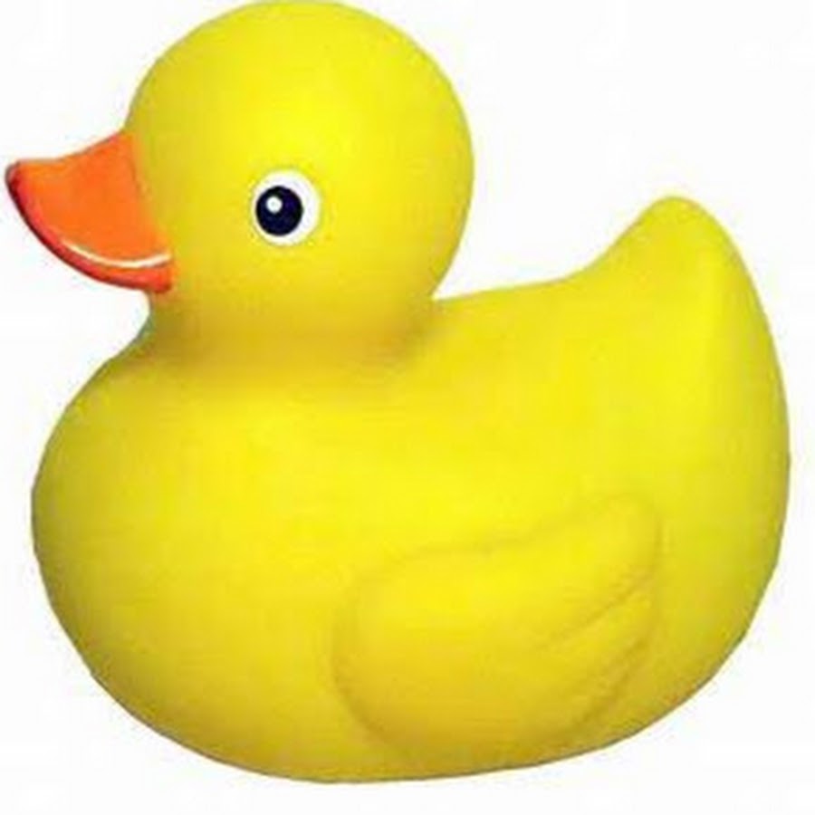 Ducky утка