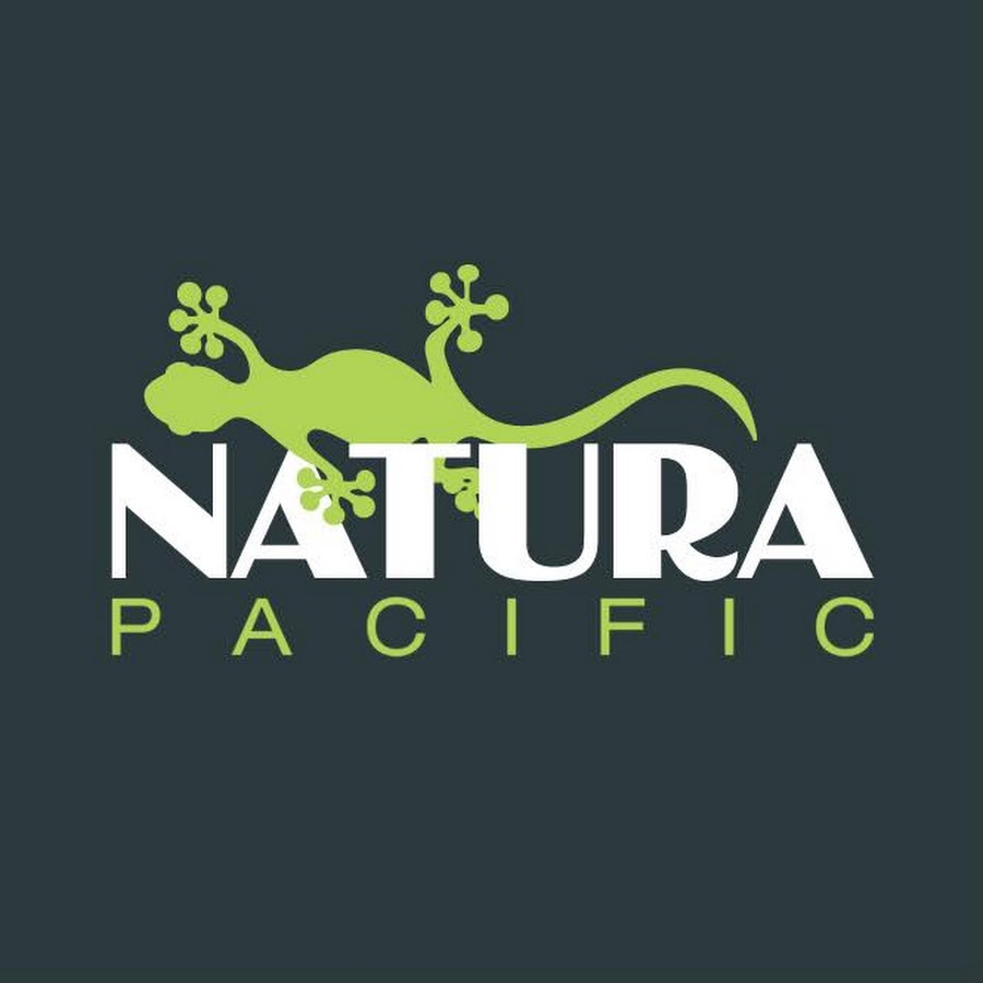Natura Pacific - YouTube