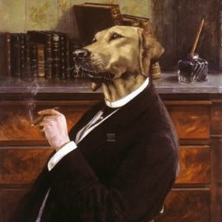 Человек с головой собаки орлов концерт. Тьерри Понселе. Тьерри Понселе художник. Тьерри Понселе автопортрет. Тьерри Понселе портреты собак.