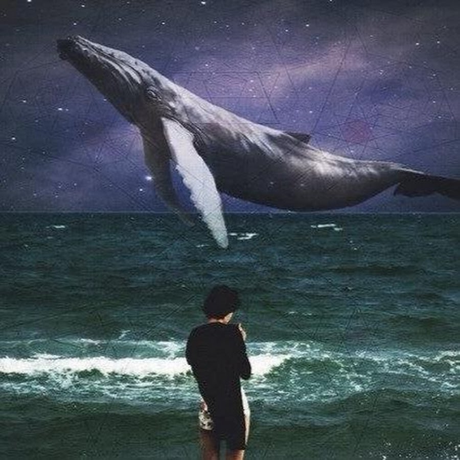 Сохраненки с китами