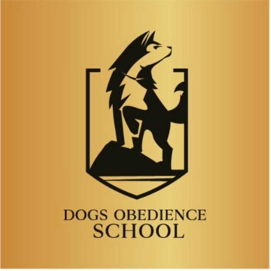 Dog school