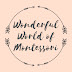 Wonderful World of Montessori