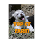 Top CT Farm