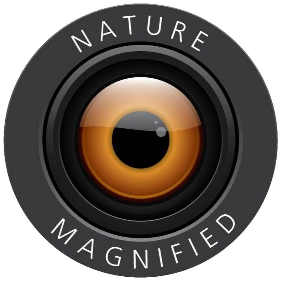 Nature Magnified