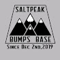 SALTPEAK[BUMPS]BASE