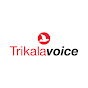 trikalavoice