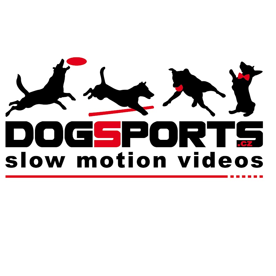 DogSports Cz