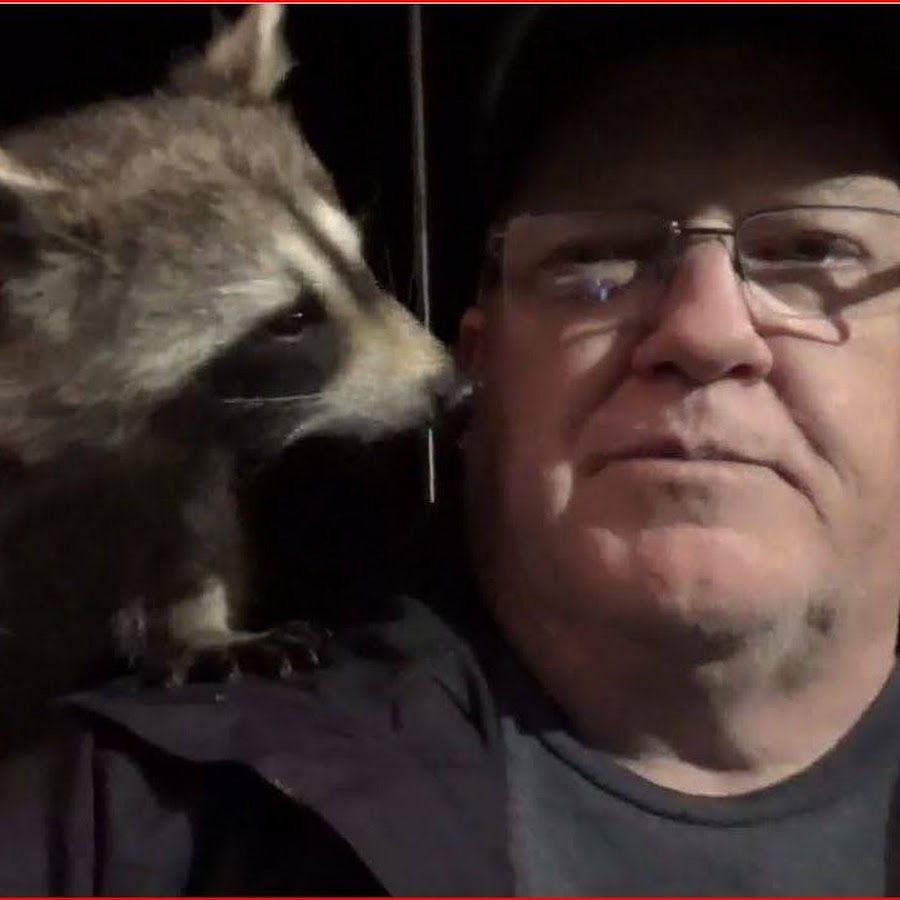 Raccoon whisperer top on youtube
