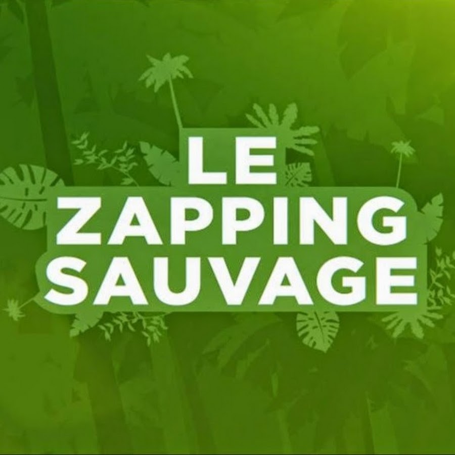 Zapping Sauvage