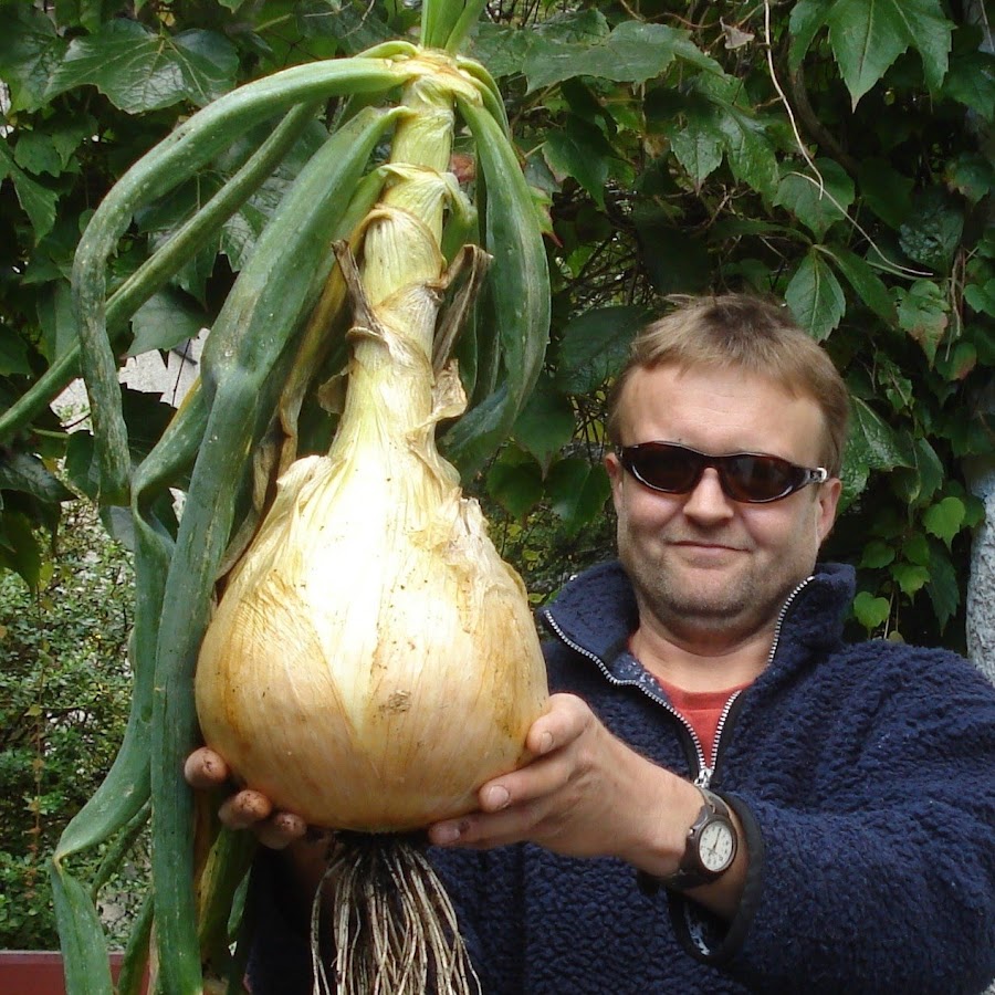 Allotment Diary @Allotment-diaryUk