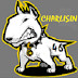 logo charlisin46