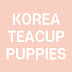 KOREA TEACUP PUPPIES