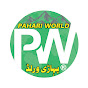 Pahari World