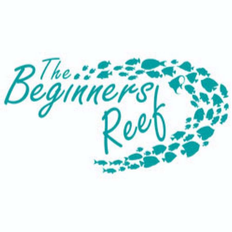 The Beginners Reef