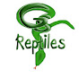 GS Reptiles