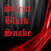 SilentBlackSnake