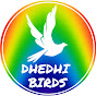 Dhedhi Birds