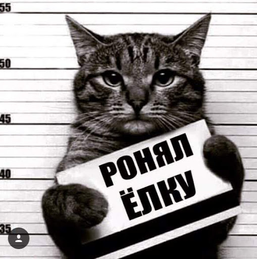 UCNbOiO9BUxcIfpiKQeMwjHw