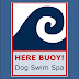 Here Buoy! Dog Swim Spa