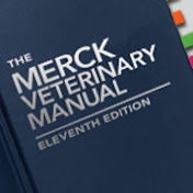 Spider Veins - Heart and Blood Vessel Disorders - Merck Manuals Consumer  Version