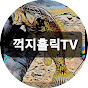 꺽지홀릭TV