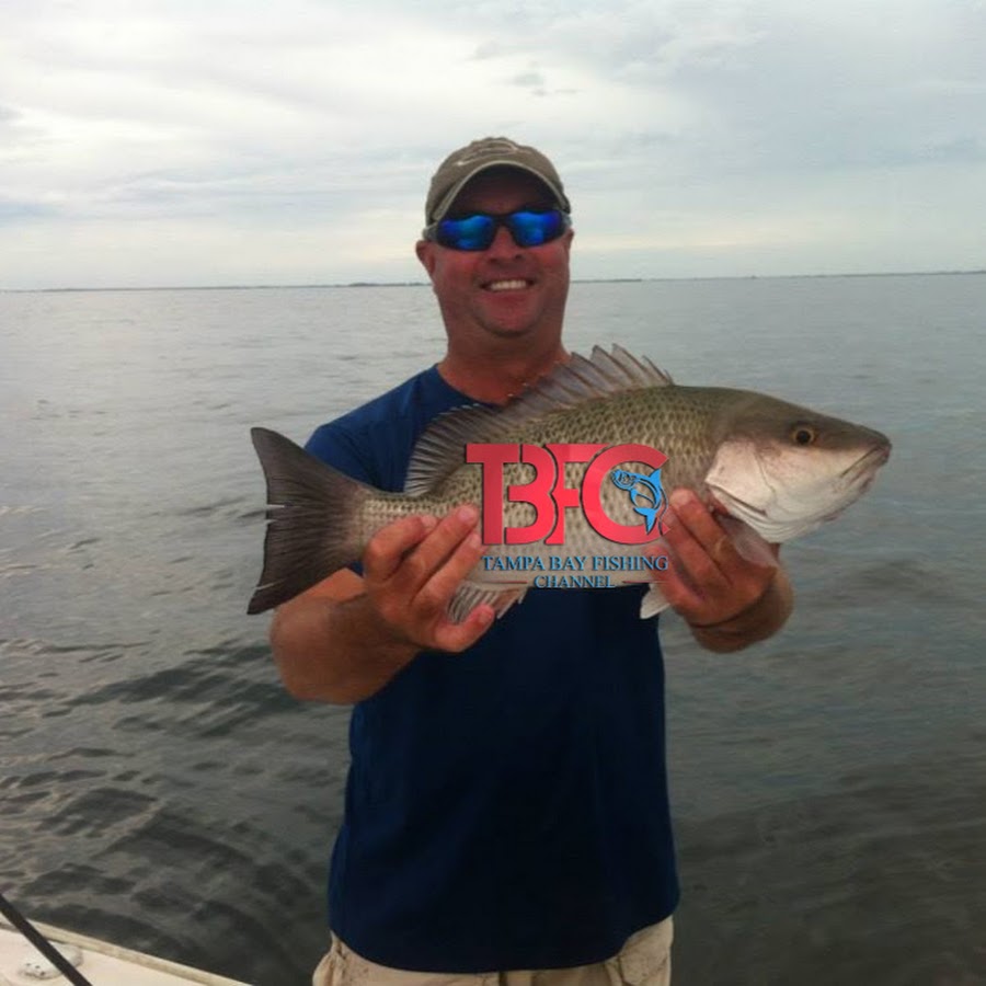Tampa Bay Fishing Channel 