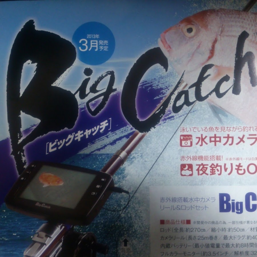 BigCatch 釣るとこみるぞう君 - YouTube