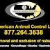 logo American Animal Control