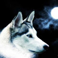 Artist Thumbnail