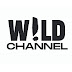 W!LD Channel