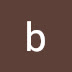 logo boris britva