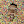 shonduras avatar