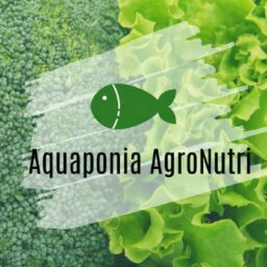 Aquaponia AgroNutri