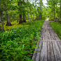 Board on the Bayou