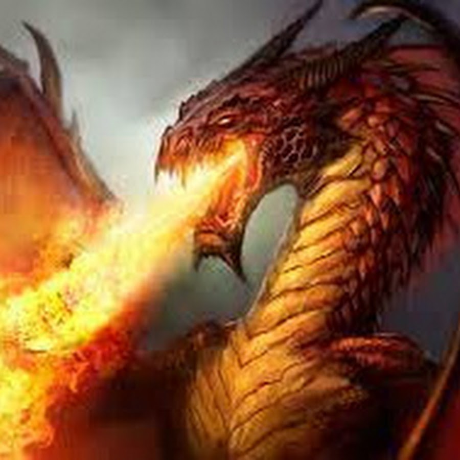 DragonFire News - YouTube 